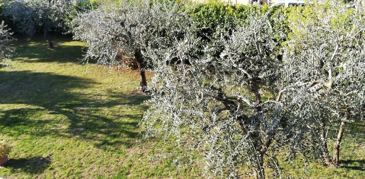Bed and Breakfast Il Melograno Garda  Bed & Breakfast Garda (Verona)