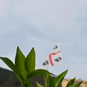 Sa Mariposa , Muravera Italia